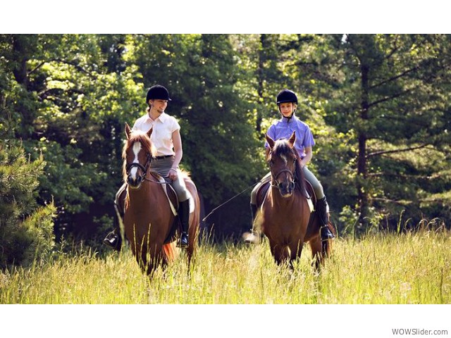 Horse riding with some stables in the village