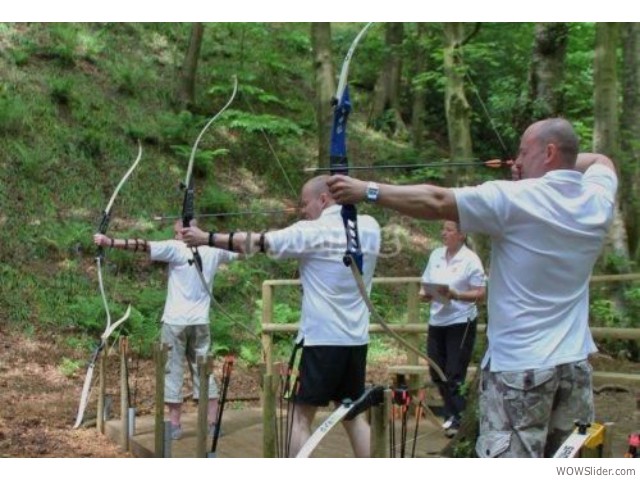 Target and field archery