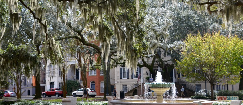 Savannah Square - One Of Many