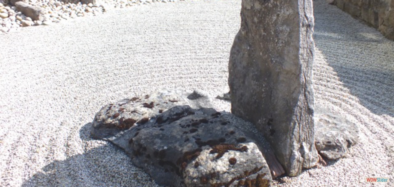 Front Zen garden - maintenance free.