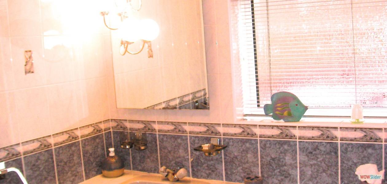 The master bathroom features both bath and shower.