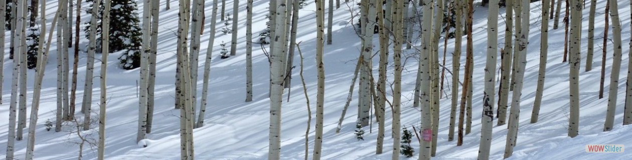 6th Commandment - Live life as if you're going to die tomorrow.