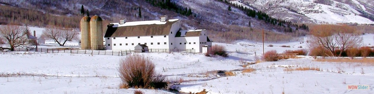 1st Commandment - Never sleep during the day