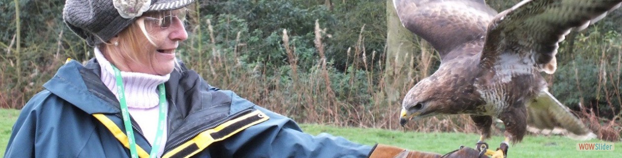 3rd Commandment - Never watch TV during the day.