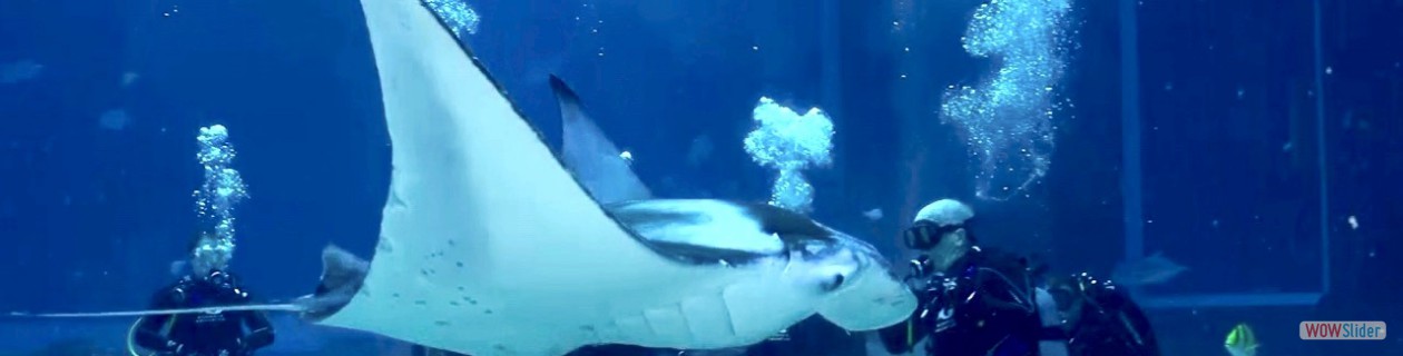 10th Commandment - Carpe diem - for you're a long time dead.