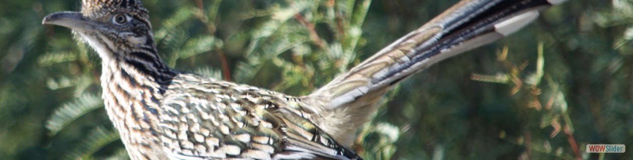 4th Commandment - If it's not right complain.