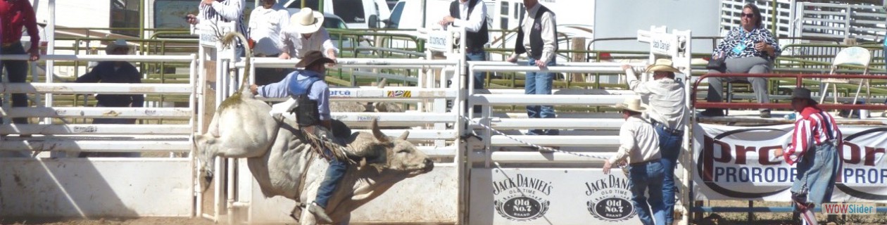 3rd Commandment - Never watch TV during the day.