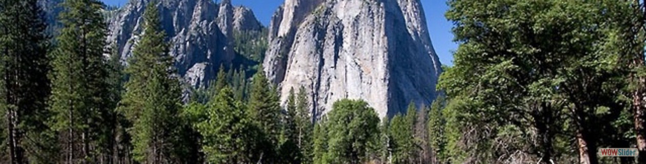 3rd Commandment - Never watch TV during the day.